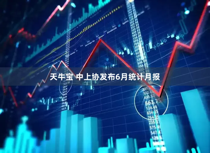 天牛宝 中上协发布6月统计月报
