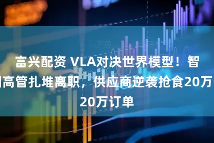 富兴配资 VLA对决世界模型！智驾圈高管扎堆离职，供应商逆袭抢食20万订单